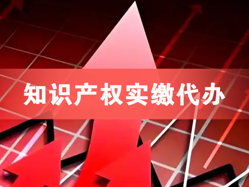 延吉知识产权实缴资本代办